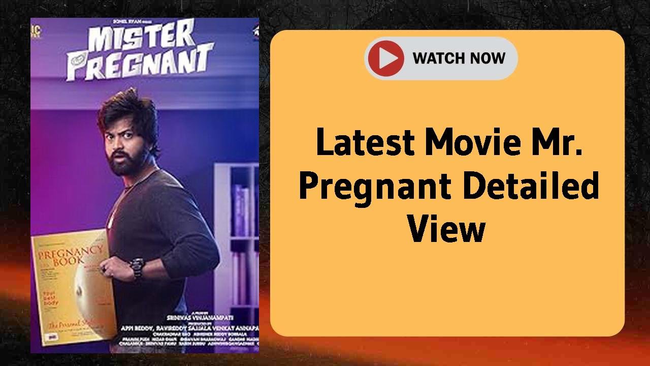 Mr. Pregnant